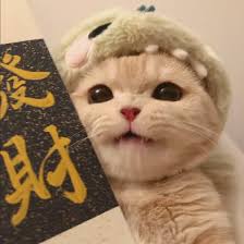 Ảnh đại diện người dùng Nguyễn Thủy